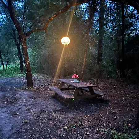 Your Personal 'Glamp' Site! Ac - Bbq - Fast Wifi DeLand Exterior photo